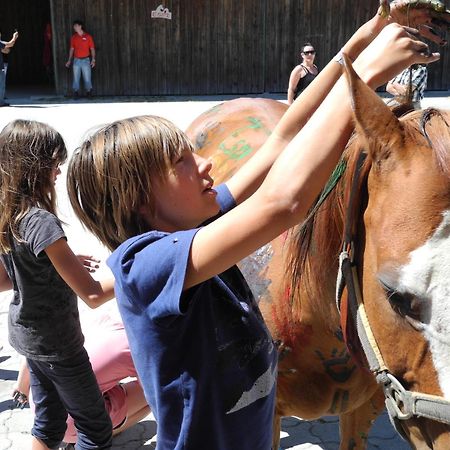 Espi-Stables Ferienhof Esterhammer Liebenau  Esterno foto