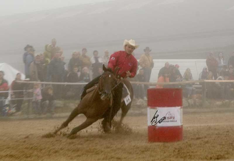 Espi-Stables Ferienhof Esterhammer Liebenau  Esterno foto