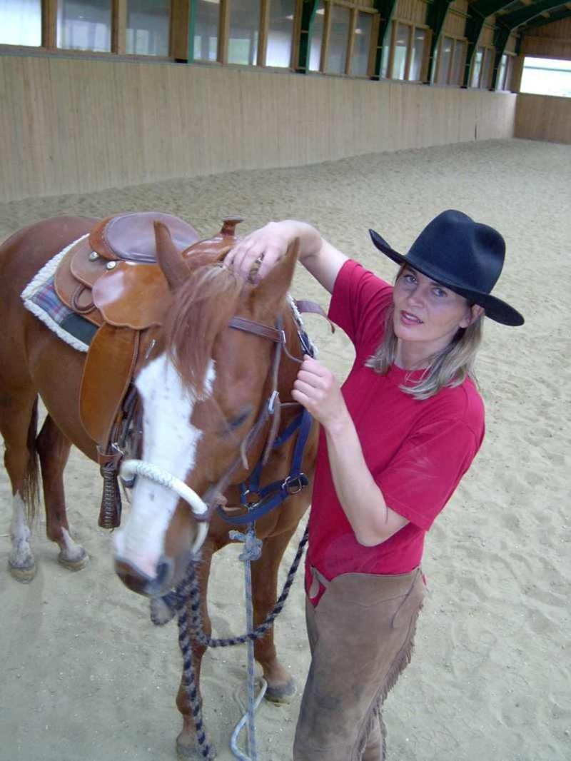 Espi-Stables Ferienhof Esterhammer Liebenau  Esterno foto