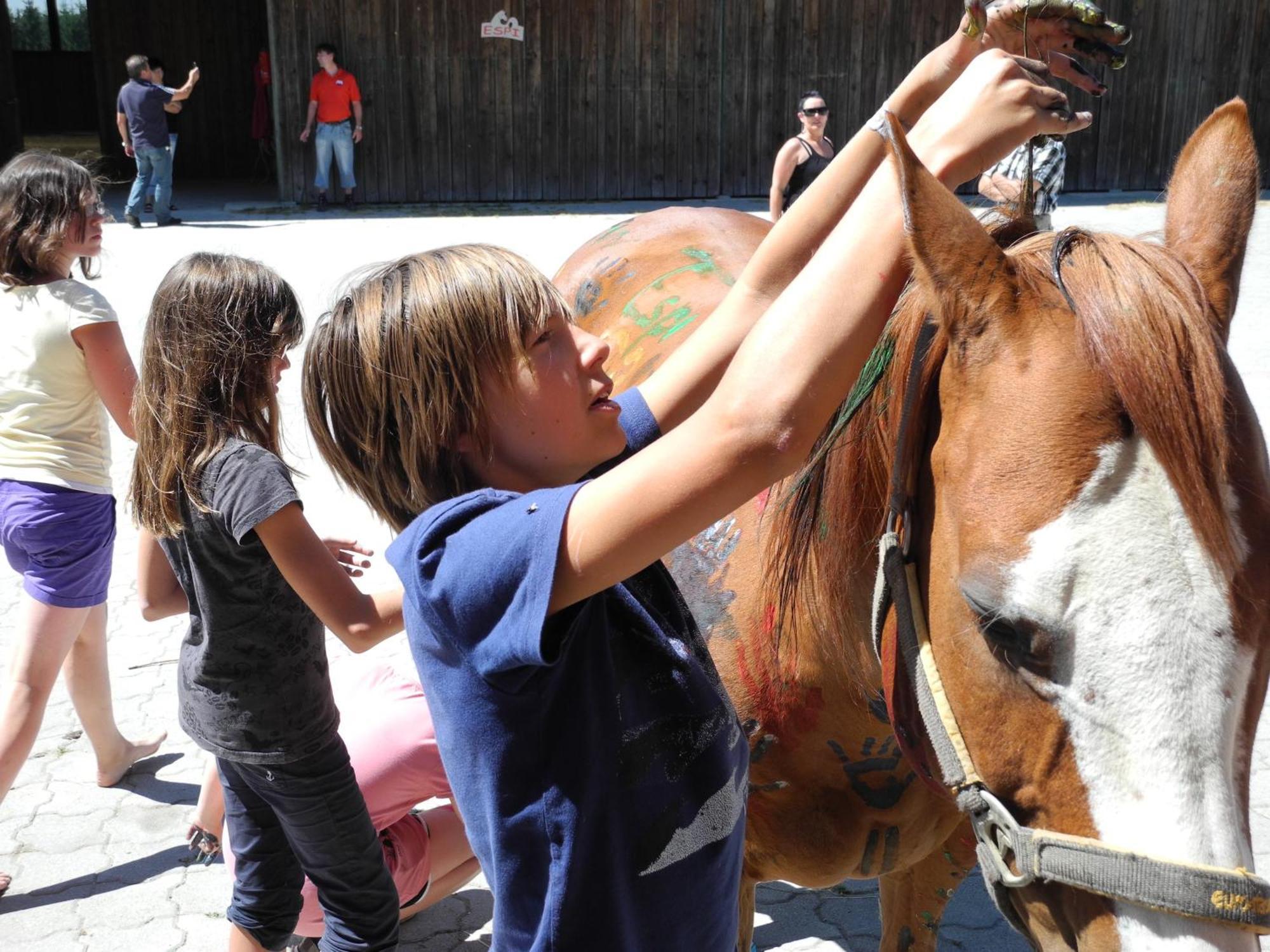 Espi-Stables Ferienhof Esterhammer Liebenau  Esterno foto