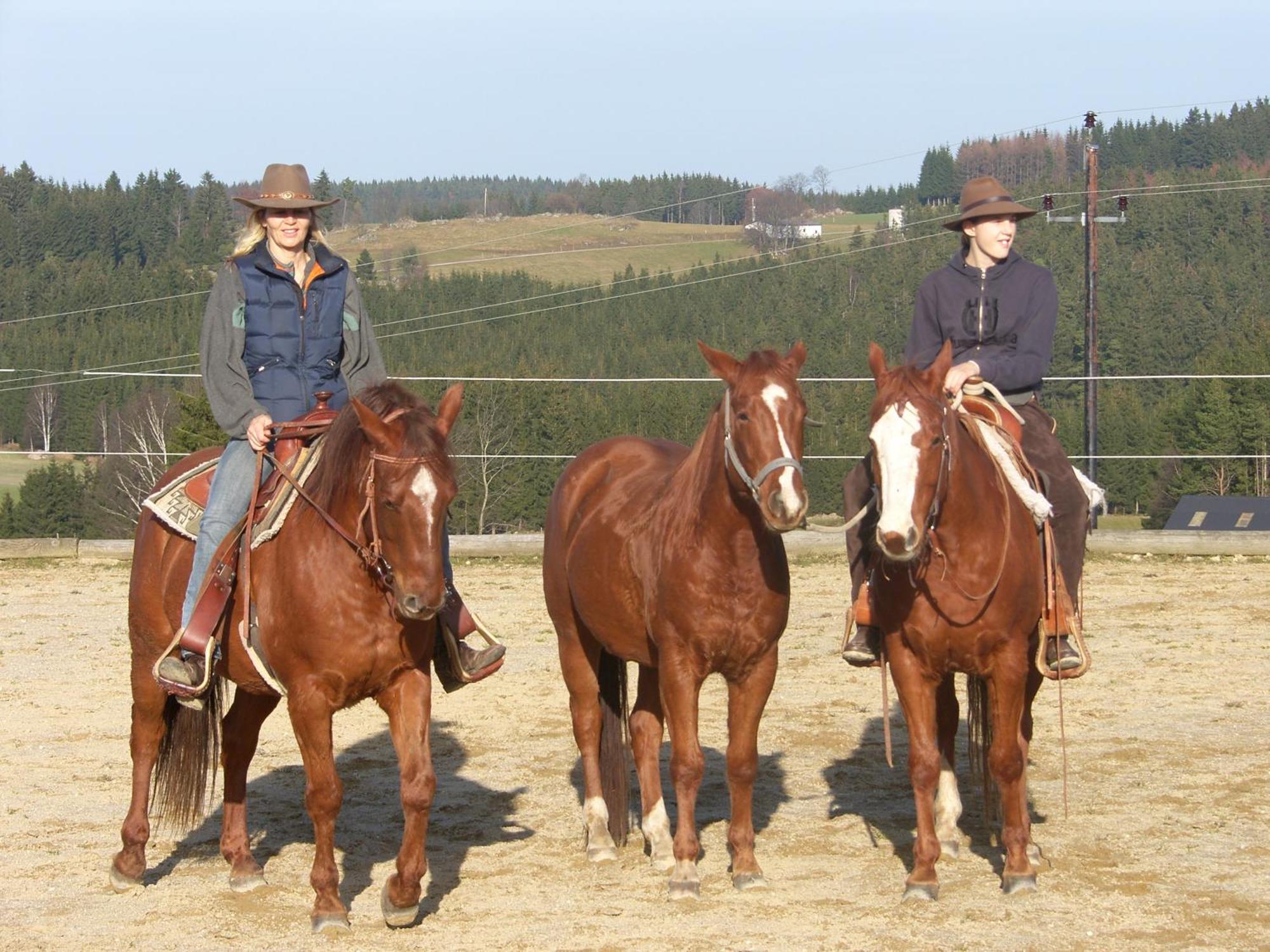 Espi-Stables Ferienhof Esterhammer Liebenau  Esterno foto