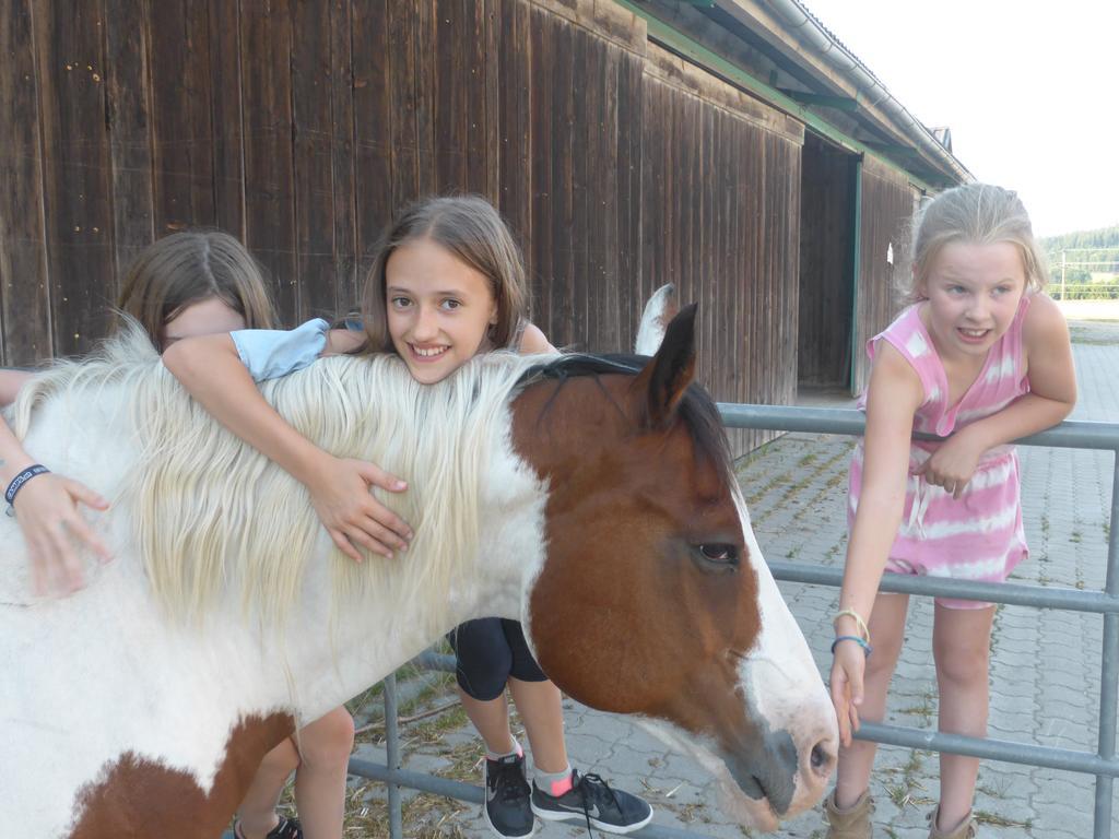 Espi-Stables Ferienhof Esterhammer Liebenau  Esterno foto