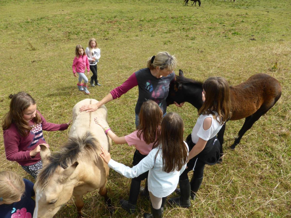 Espi-Stables Ferienhof Esterhammer Liebenau  Esterno foto