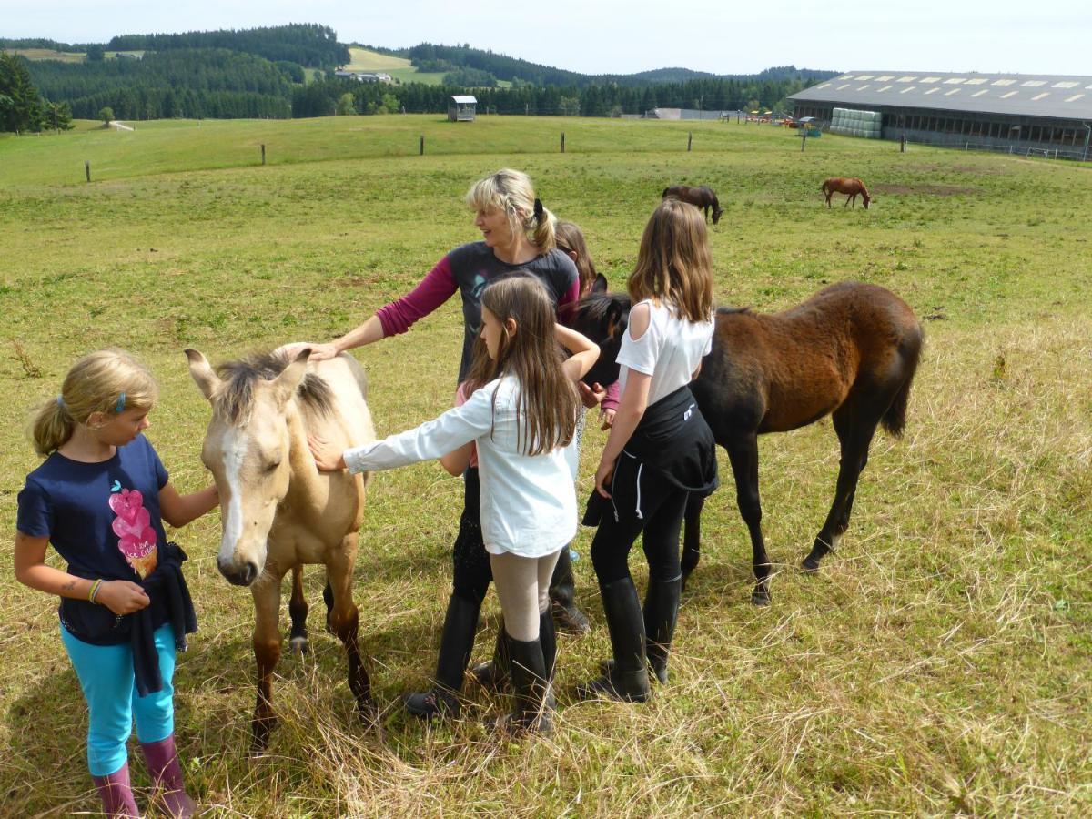 Espi-Stables Ferienhof Esterhammer Liebenau  Esterno foto